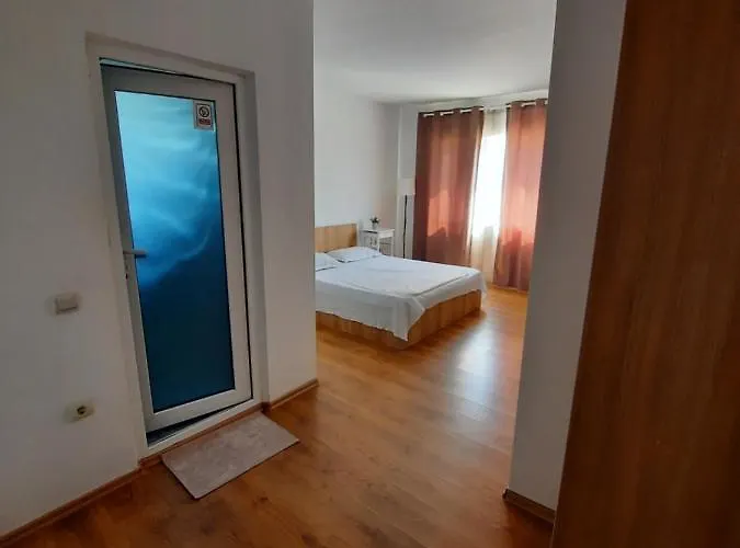 Sami * 科斯蒂内什蒂