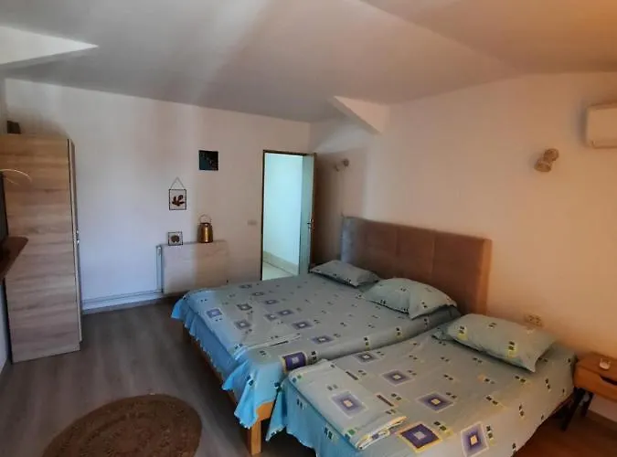 Sami * 科斯蒂内什蒂