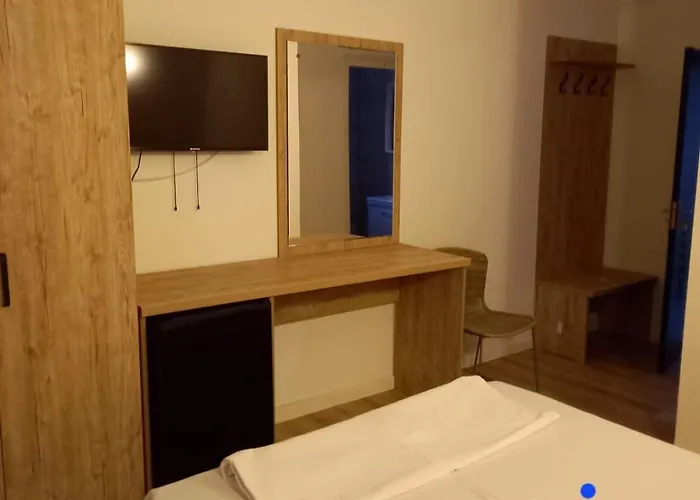 Sami * 科斯蒂内什蒂